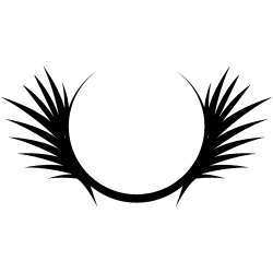 deco 116