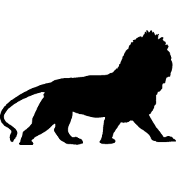 lion1