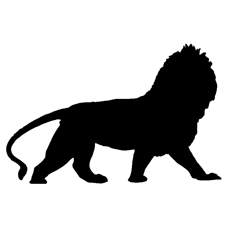 lion1
