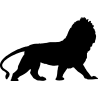 lion1