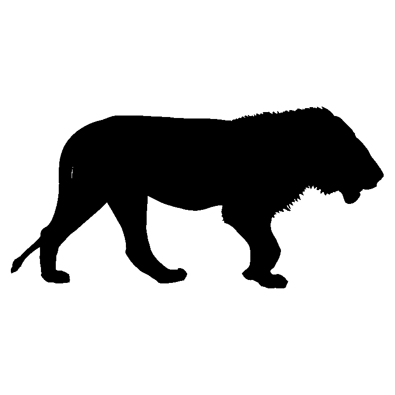 lion2