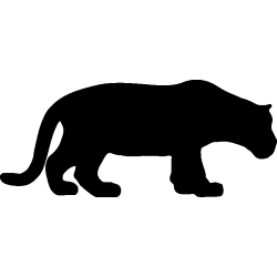 lion3