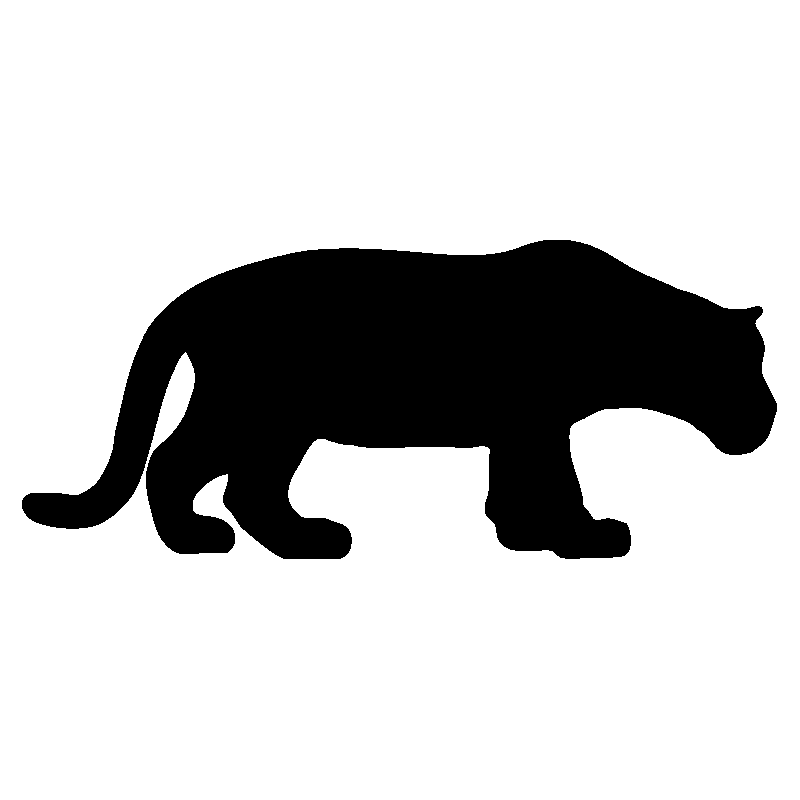 lion3