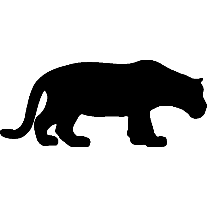 lion3