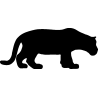lion3