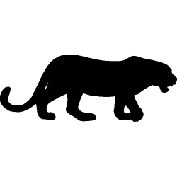 panthere4