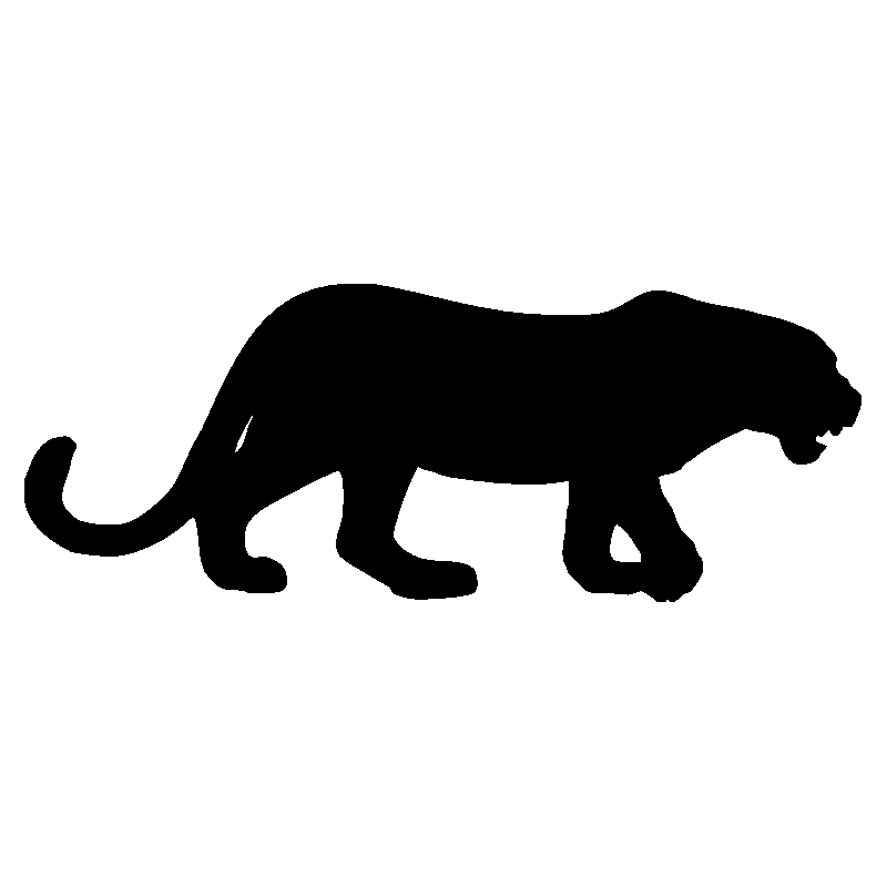 panthere4