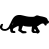 panthere4