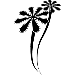 etoile216