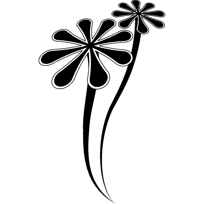 etoile216