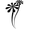 etoile216