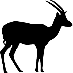 elan2