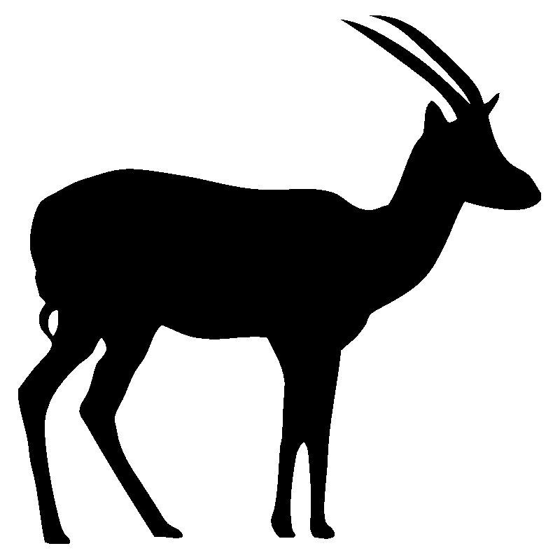elan2