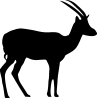 elan2