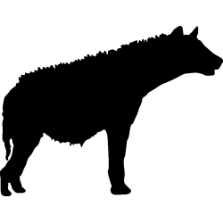 hyenne1