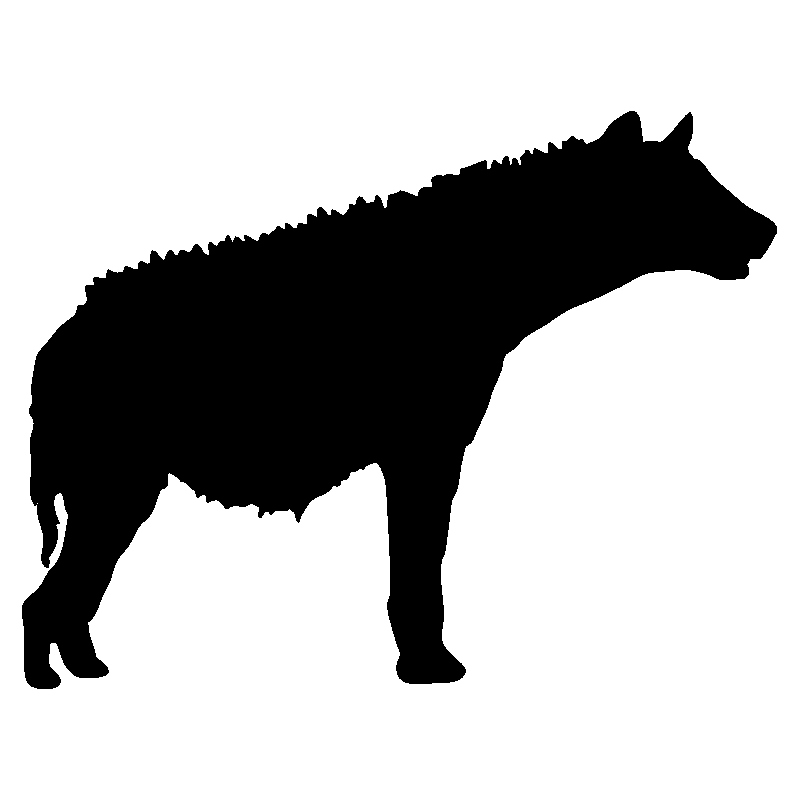 hyenne1
