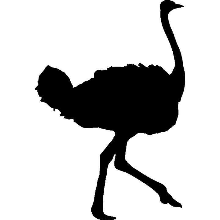 autruche1