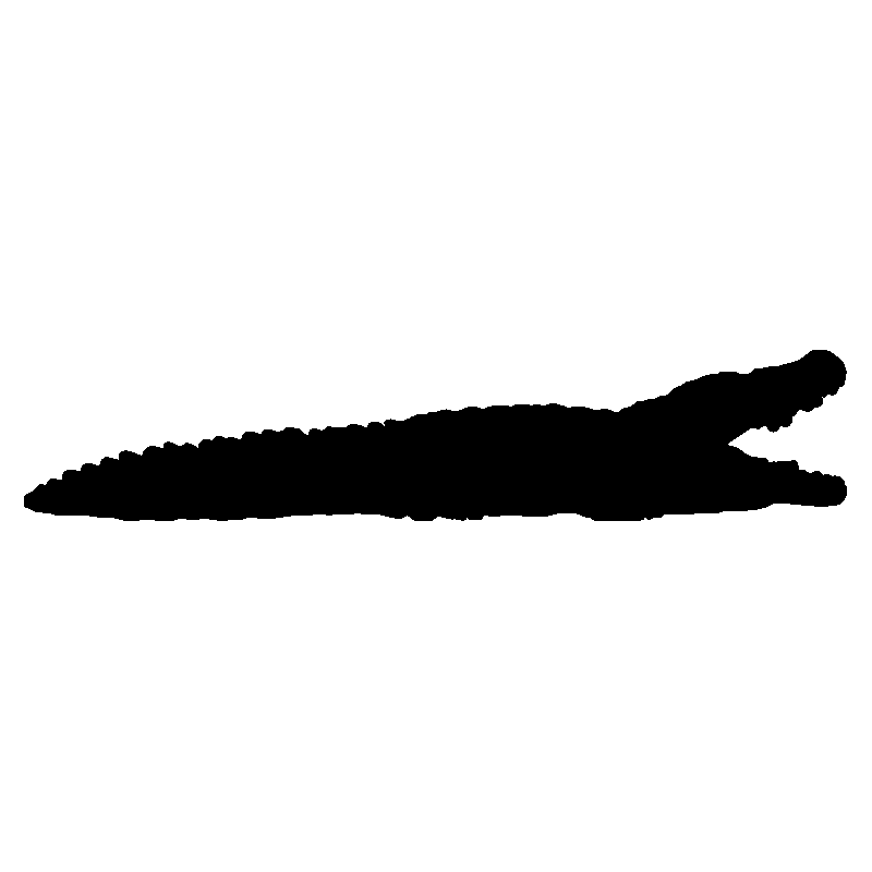 crocodile1