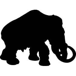 elephant5