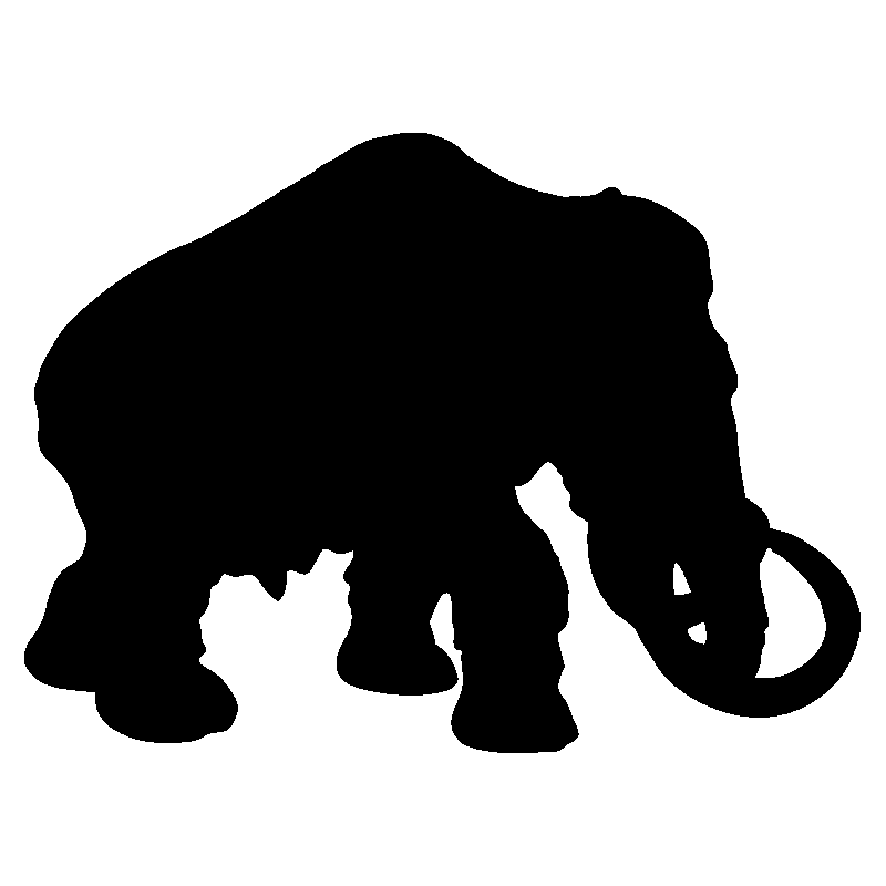 elephant5