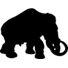 elephant5