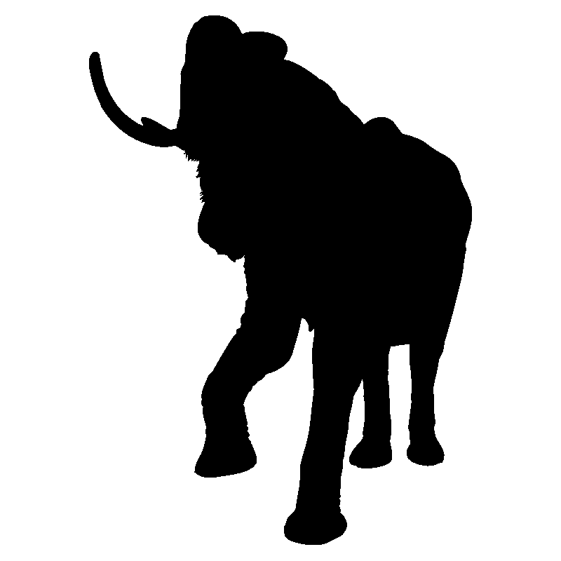 elephant6