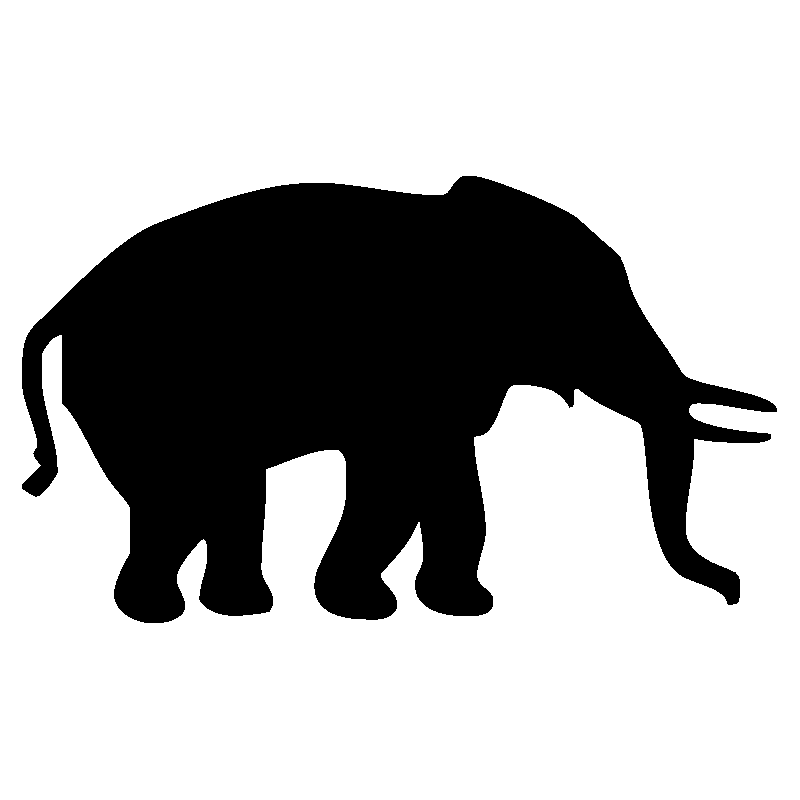 elephant7