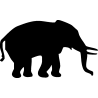 elephant7