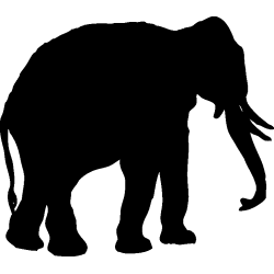 elephant8