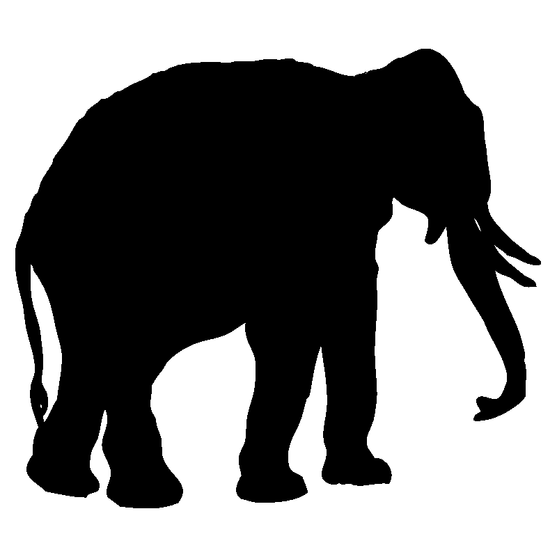 elephant8
