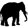 elephant8
