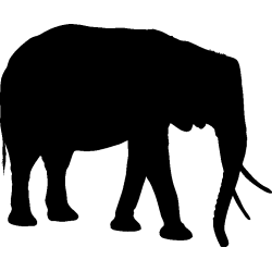 elephant9