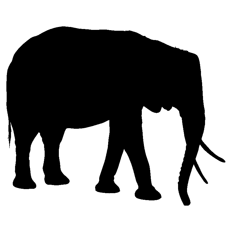elephant9