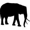 elephant9