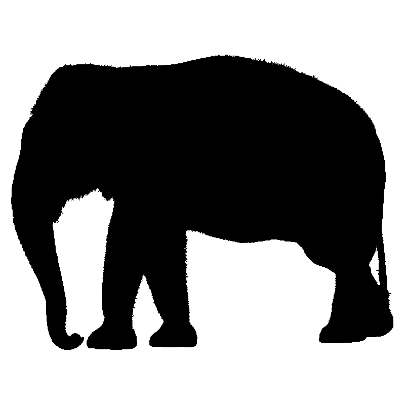 elephant10