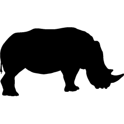 rhinoceroce2