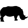 rhinoceroce2