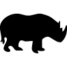rhinoceroce3