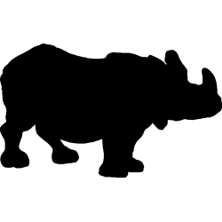 rhinoceroce4