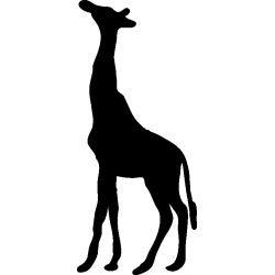 girafe3