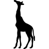 girafe3