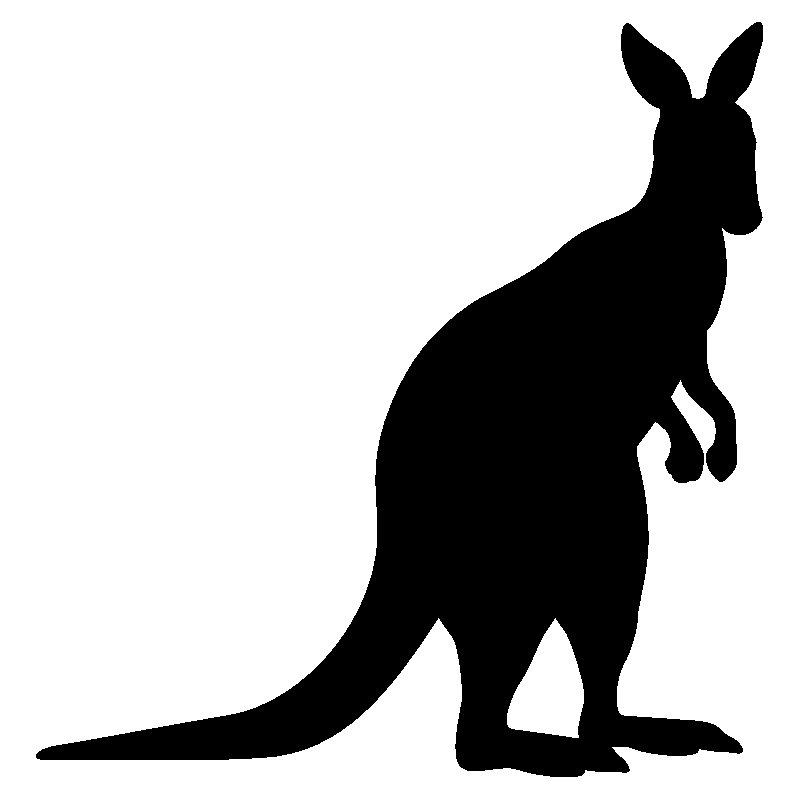 kangourou1