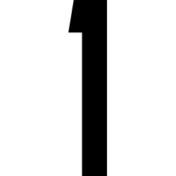 N1