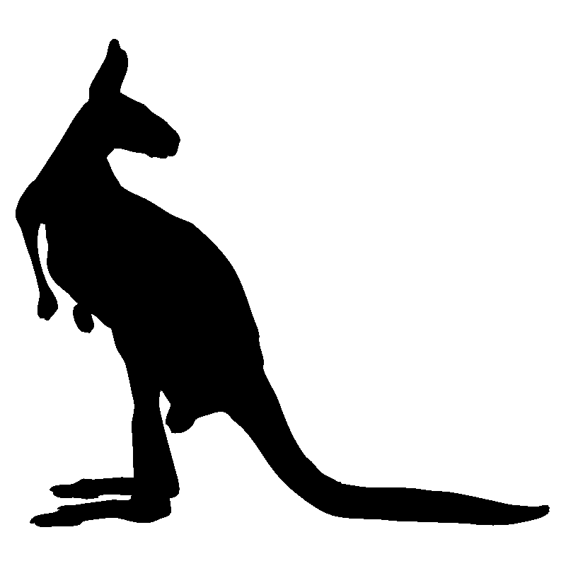 kangourou2