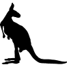 kangourou2
