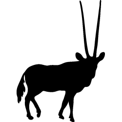 elan2