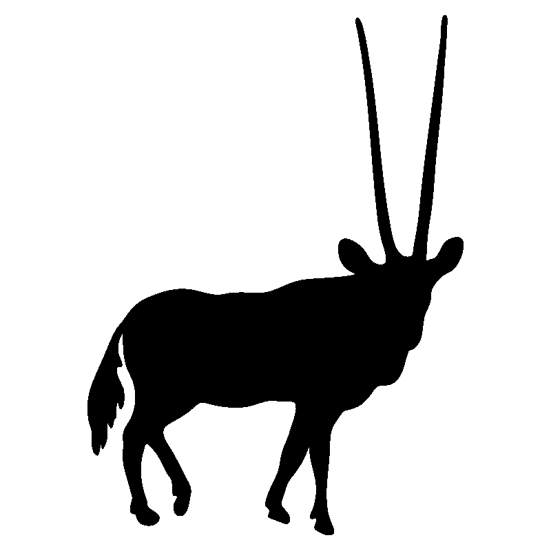 elan2