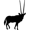 elan2