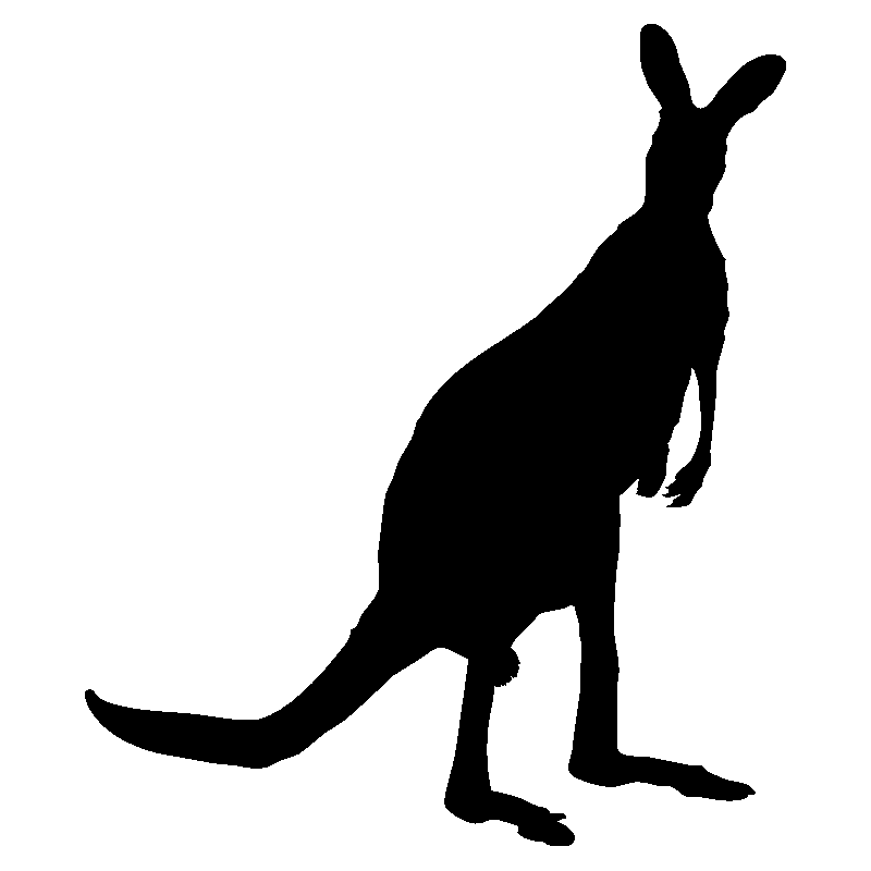 kangourou3