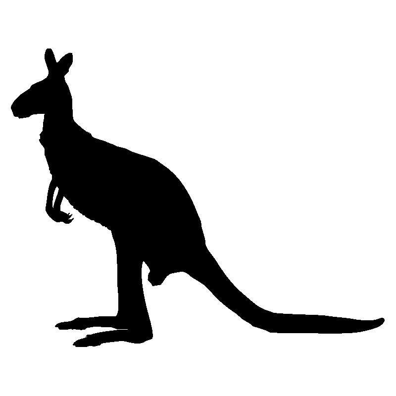 kangourou4